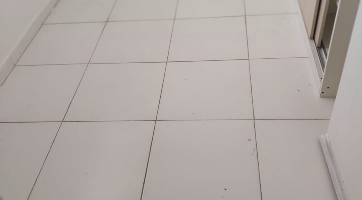 WhatsApp Image 2026-03-03 at 16.57.13