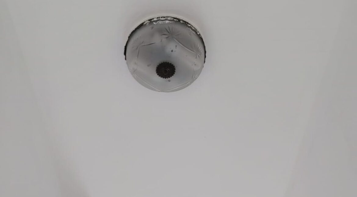 WhatsApp Image 2026-03-03 at 16.57.25 (4)