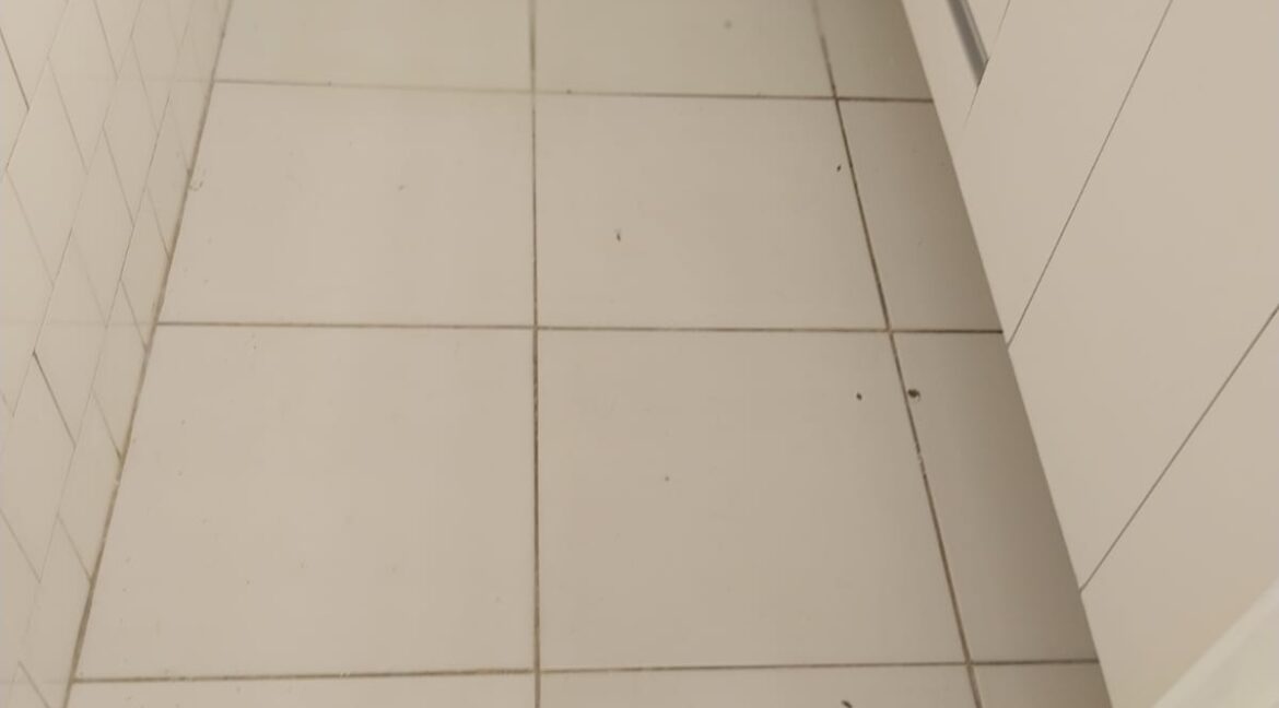 WhatsApp Image 2026-03-03 at 16.57.26 (2)