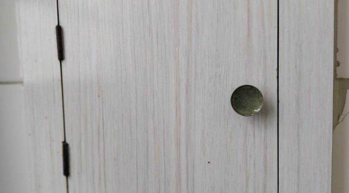 WhatsApp Image 2026-03-03 at 16.57.27