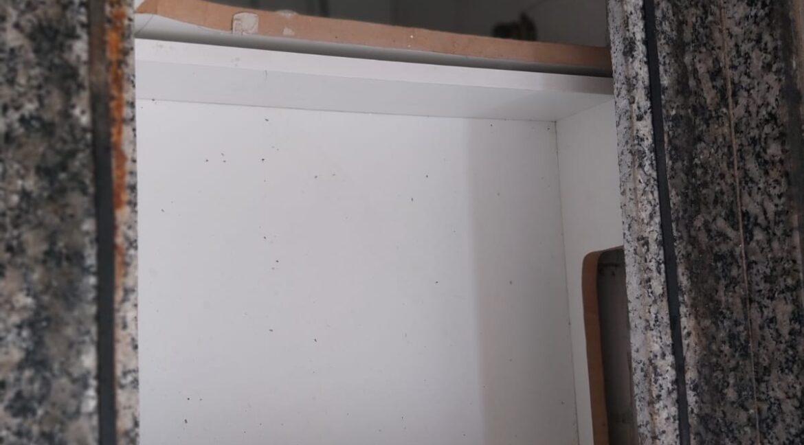 WhatsApp Image 2026-03-03 at 16.57.28 (1)