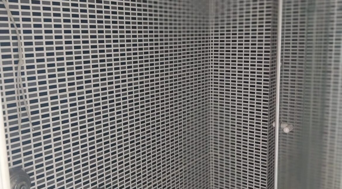 WhatsApp Image 2026-03-03 at 16.57.28 (4)