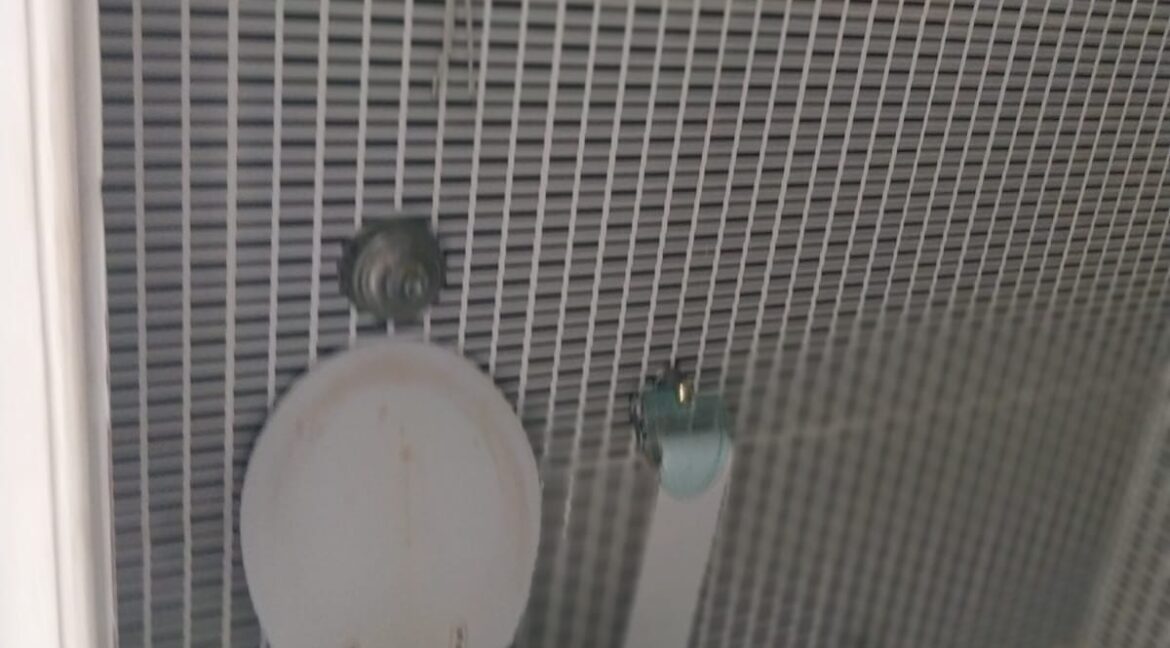 WhatsApp Image 2026-03-03 at 16.57.29 (1)